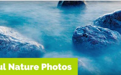 Ten Beautiful Nature Photos